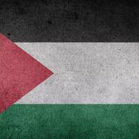 mui-kutuk-rencana-israel-indonesia-disebut-punya-peluang-emas-merdekakan-palestina