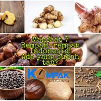 7-rempah-indonesia-ini-mempunyai-khasiat-lebih-salah-satunya-tingkatkan-vitalitas