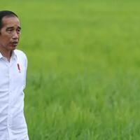 jokowi-resmi-bubarkan-18-lembaga-ini-daftarnya