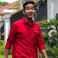 pengamat-parpol-di-solo-bernyali-kecil-lawan-pdip-gibran-bakal-lawan-kotak-kosong