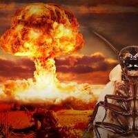 meski-kepalanya-sudah-putus-serangga-menjijikkan-ini-masih-bisa--menggodamu