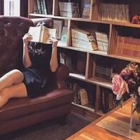 tipe-tipe-pembaca-novel