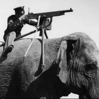 misteri--foto-kuno--seorang-tentara-dengan-senapan-mesin-di-atas-gajah