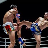 kartu-pertandingan-resmi-di-one-a-new-breed-ii