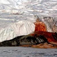 fenomena-air-terjun-berdarah-gletser-antartika