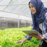 saya-muda-saya-petani-banggalah-menjadi-petani
