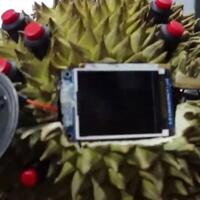 anti-mainstream-mahasiswa-singapura-membuat-konsol-game-dari-buah-durian