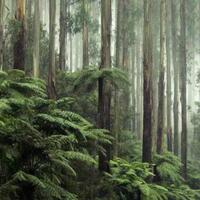 tahukah-kamu-tumbuhan-yang-ada-di-sekitar-kita-ini-lebih-tua-dari-dinosaurus