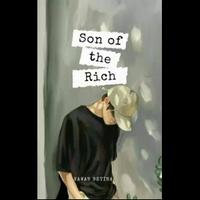 son-of-the-rich-reborn