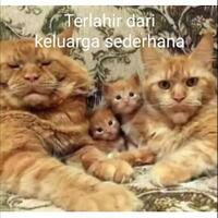 belajar-arti-kesuksesan-dari-kisah--kocheng-oren--lahir-miskin-sampai-jadi-kaya-raya