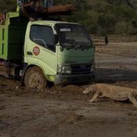 ngenes-komodo-vs-truk-proyek-di-taman-nasional