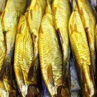 makanan-beracun-jangan-masak-ini-kalau-bukan-chef-andal