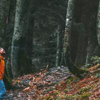 backpacker-pemula-harus-tahu-beberapa-tips-bertahan-hidup-jika-tersesat-di-hutan