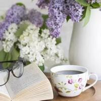 inspirasi-kehidupan--membaca-buku-bermanfaat-menambah-kosa-kata