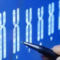 laboratorium-di-texas-menyatakan-bisa-membuktikan-klaim-keturunan-nabi-muhammad