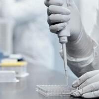 pfizer-berhasil-membuat-vaksin-covid-19-berapa-harga-tiap-dosis-nya