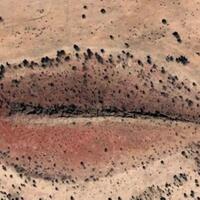 pemandangan-pemandangan-janggal-yang-terekam-google-maps