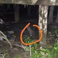 kasus-anak-hilang-di-langkat-masih-jadi-seribu-tanda-tanya