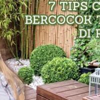 tips-cerdas-membangun-taman-di-rumah-saja-perhatikan-ini-dulu