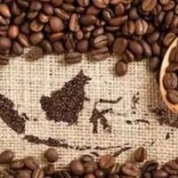 kopi-produksi-lokal-penikmatnya-seluruh-dunia