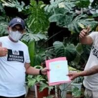 tanaman-hias-naik-daun-pecinta-tanaman-tukar-rumah-senilai-500-juta-dengan-tanaman