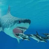 hiu-megalodon-punah-bukan-karena-bencana-alam-tapi-karena