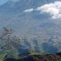 teror-di-gunung-arjuno-zombie-apocalypse-drama-action