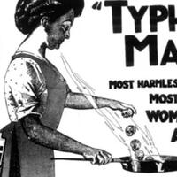 kasus-typhoid-mary-kasus-penularan-penyakit-orang-tanpa-gejala