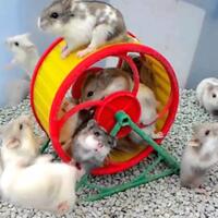 5-rekomendasi-mainan-buat-peliharaan-si-hamster