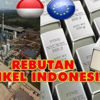 uni-eropa-pusing-sampai-gugat-indonesia-soal-larangan-ekspor-nikel-ke-wto