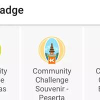 meraih-badge-tanpa-tahu-artinya