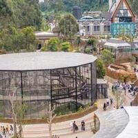 pandemi-melanda-banyak-orang-bikin-aviary-pribadi-yang-besar-patut-dicontoh-nih