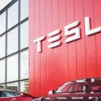 bang-luhut-gimana-nich-tesla-lebih-memilih-india-ketimbang-indonesia-kenapa-ya