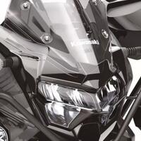 moge-1-silinder-terbesar-kawasaki-650cc-bentuknya-kaya-h2-versi-adventure