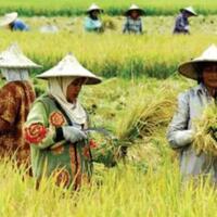 sudah-tahu-kepanjangan-dari-kata--petani--belum