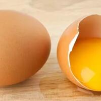1-butir-telur-untuk-pemenuhan-kalsium-bonus-mineral-dan-vitamin-trik-gokil