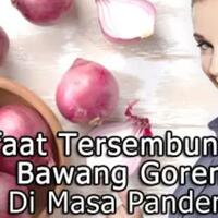 manfaat-tersembunyi--bawang-goreng-dimasa-pandemi-corona-buruan-masak