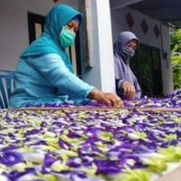 jual-bunga-kering-jadi-cuan--kok-bisa