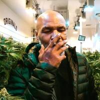 as-legalkan-penjualan-ganja-mike-tyson-auto-miliuner-berkat-bangun-kerajaan-ganja