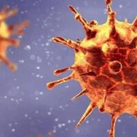 dua-kasus-mutasi-virus-corona-b117-masuk-ke-indonesia-dari-arab-saudi