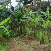 ironi-rumah-dp-rp-0-3-tahun-jauh-panggang-dari-api-kini-tersandung-korupsi