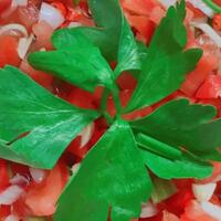 gansist-pecinta-sambal-anak-kost-wajib-coba-sambal-ini
