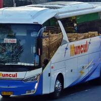 sejarah-po-muncul---namanya-mirip-merek-jamu-inilah-pencetus-leg-rest-pada-bus