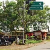 parung-dan-parung-panjang-ini-perbedaanya