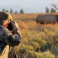 perhatikan-hal-ini-gan-sis-jika-kalian-ingin-foto-satwa-di-alam-liar