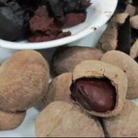 keluwek-sebenarnya-buah-beracun-tapi-malah-dijadikan-bumbu-dapur-kok-bisa