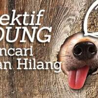 lewat-hidung-aplikasi-ini-bisa-temukan-hewan-kesayanganmu-yang-hilang
