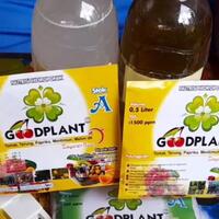mengenal-nutrisi-ketika-menanam-menggunakan-metode-hidroponik