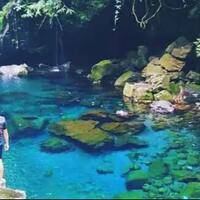 telaga-sunyi-surga-tersembunyi-dibalik-hutan-pinus-dan-pohon-damar