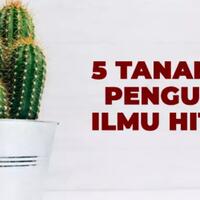 5-tanaman-penangkal-yang-biasa-di-gunakan-untuk-mengusir-ilmu-hitam